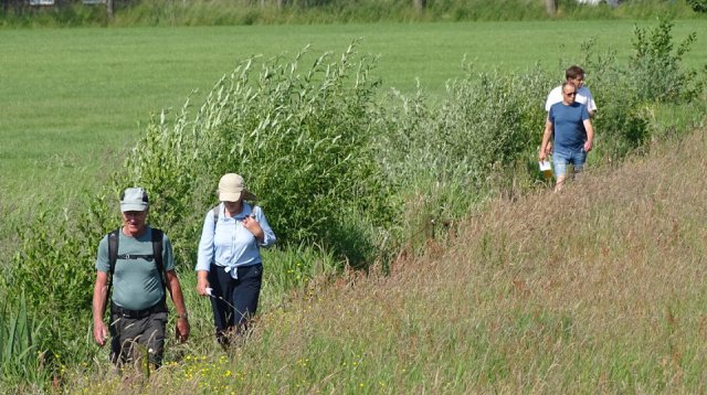 Singels en Essen wandeltocht (zondag 11 juni 2023)